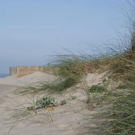 Beautiful Facing The Sea בית נופש